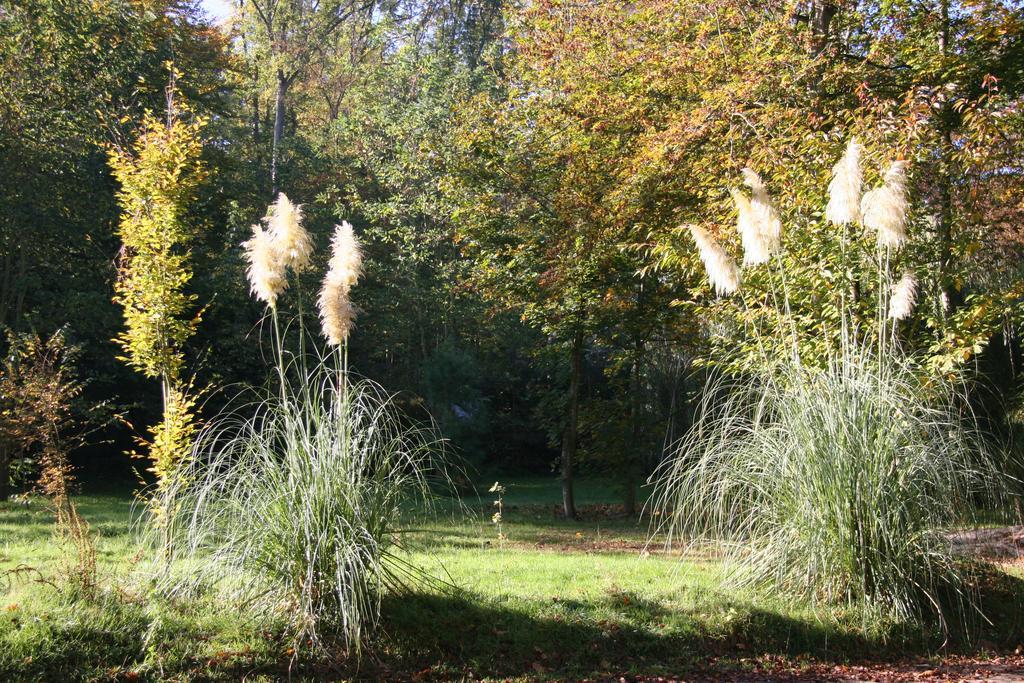 Domaine De Chantemerles Fontainebleau Exterior foto
